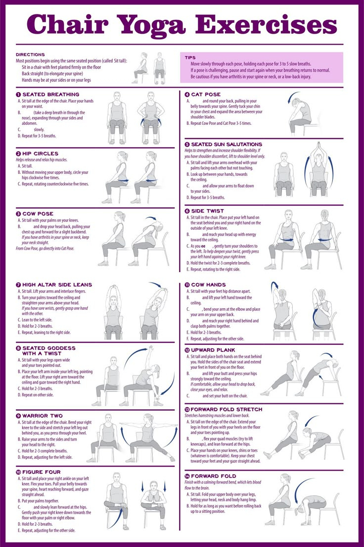 Chair Exercises For Seniors - 20 Free Pdf Printables | Printablee with Chair Exercises For Seniors Printable
