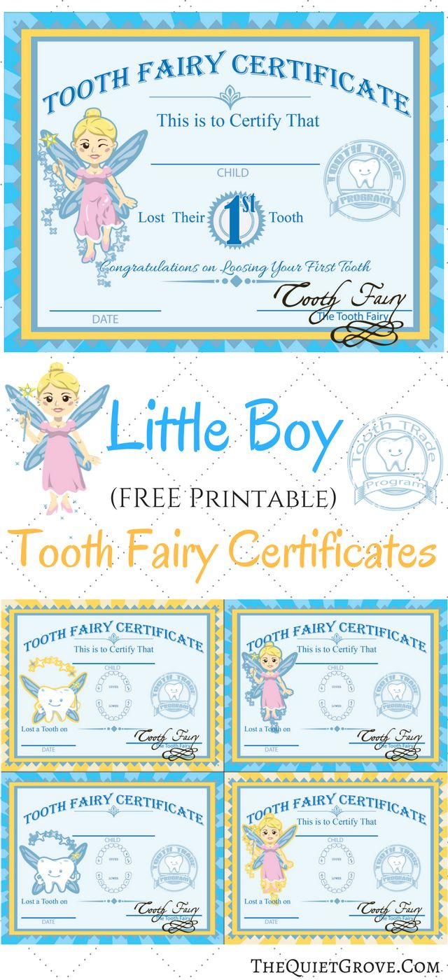 Free Printable Tooth Fairy Certificates pertaining to Tooth Fairy Certificate Free Printable