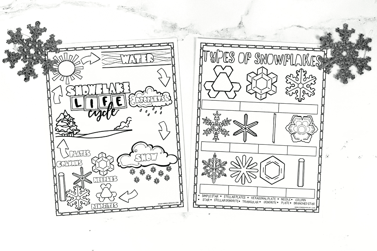 Free Snowflake Life Cycle Worksheet with regard to Life Cycle of a Snowflake Free Printable