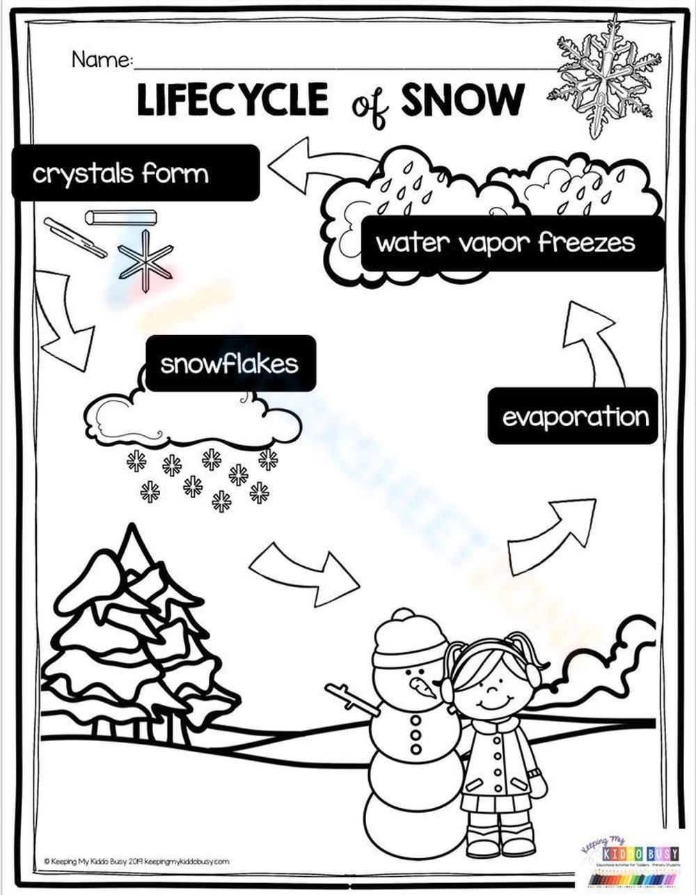 Printable Life Cycle Of A Snowflake Worksheets Download regarding Life Cycle Of A Snowflake Free Printable