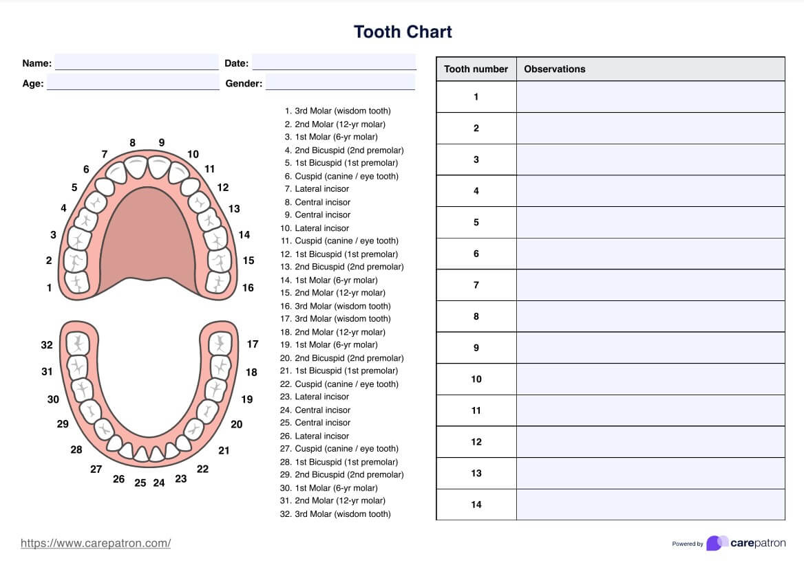 Tooth Charts inside Printable Tooth Chart With Numbers And Letters